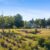 Home under $400,000 in Northern Nova Scotia