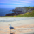 Tatamagouche North Shore Nova Scotia Water Views