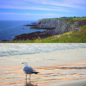 Tatamagouche North Shore Nova Scotia Water Views